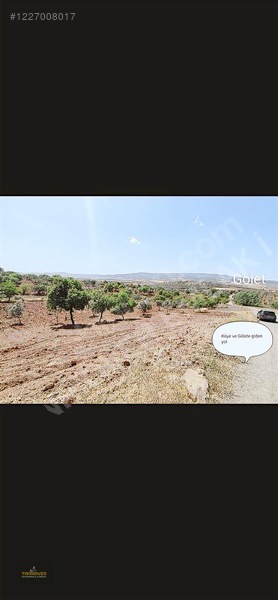 Sırasöğütte Bağevlik Yatırımlık Arazi — fotoğraf 7