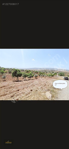 Sırasöğütte Bağevlik Yatırımlık Arazi — fotoğraf 24