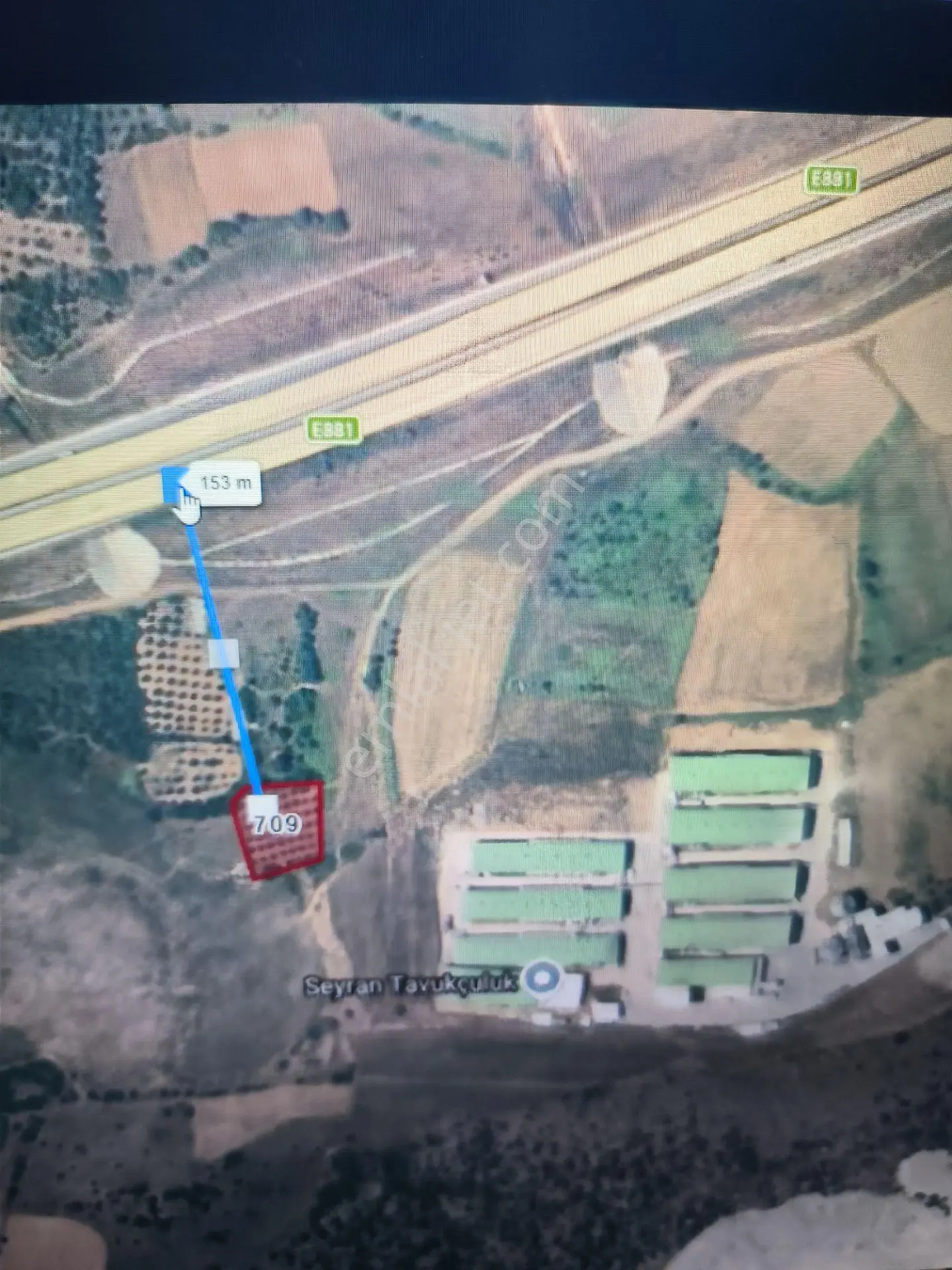 Bursa Karacabey Seyran'da Satılık 1625 M2 Zeytinlik — fotoğraf 2