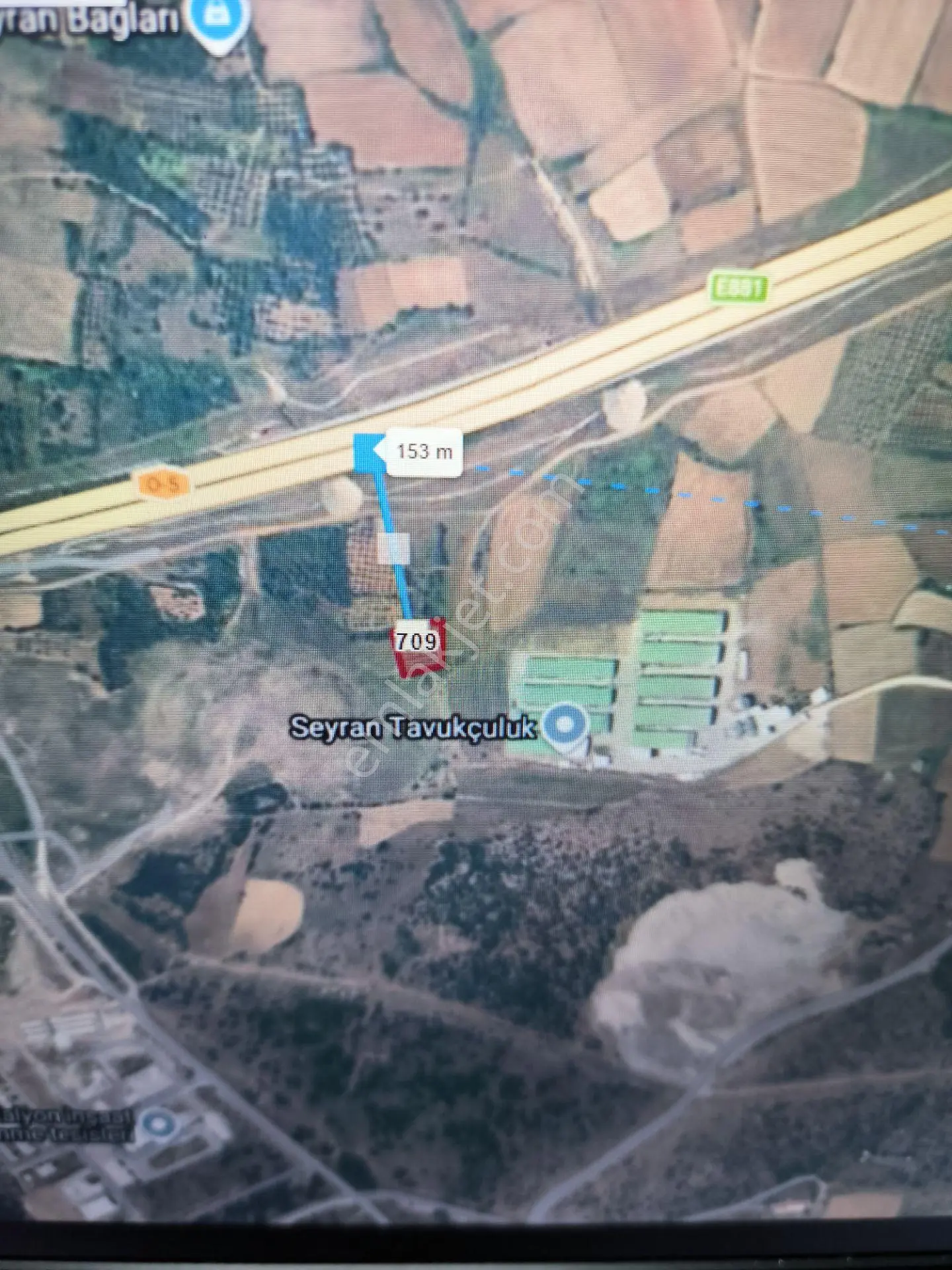 Bursa Karacabey Seyran'da Satılık 1625 M2 Zeytinlik — fotoğraf 3