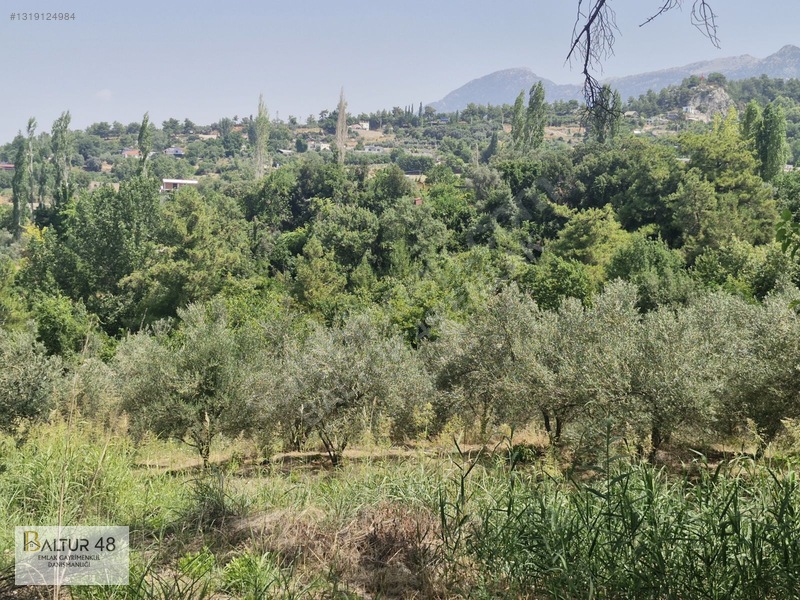 Seydikemer Yakaköy'De 12.468M² Satılık Yatırım Fırsatı Arazi
