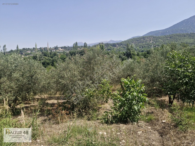 Seydikemer Yakaköy'de 12.468m² Satılık Yatırım Fırsatı Arazi — fotoğraf 2