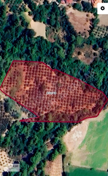 Seydikemer Yakaköy'de 12.468m² Satılık Yatırım Fırsatı Arazi — fotoğraf 4