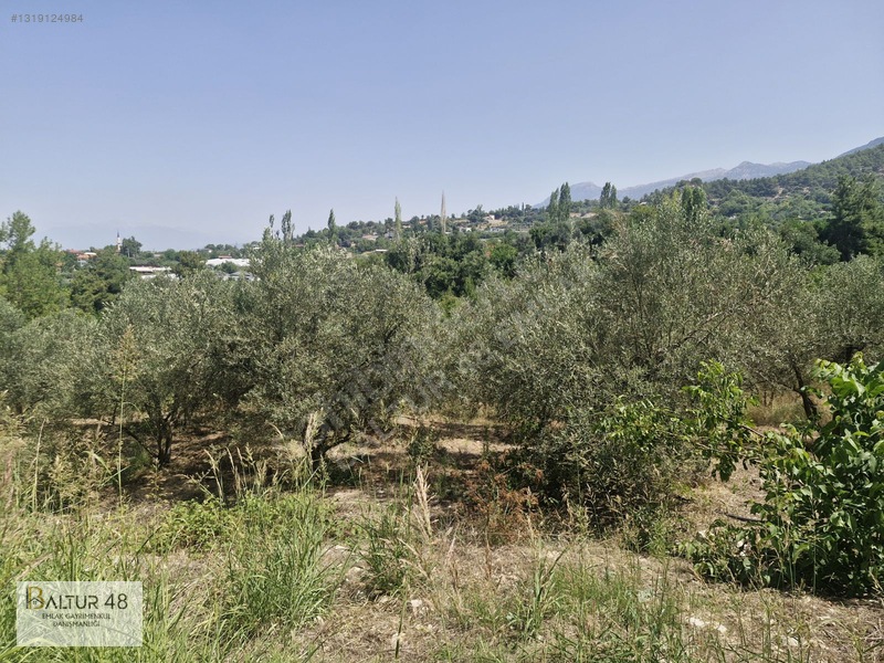 Seydikemer Yakaköy'de 12.468m² Satılık Yatırım Fırsatı Arazi — fotoğraf 8