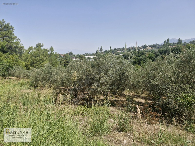 Seydikemer Yakaköy'de 12.468m² Satılık Yatırım Fırsatı Arazi — fotoğraf 9