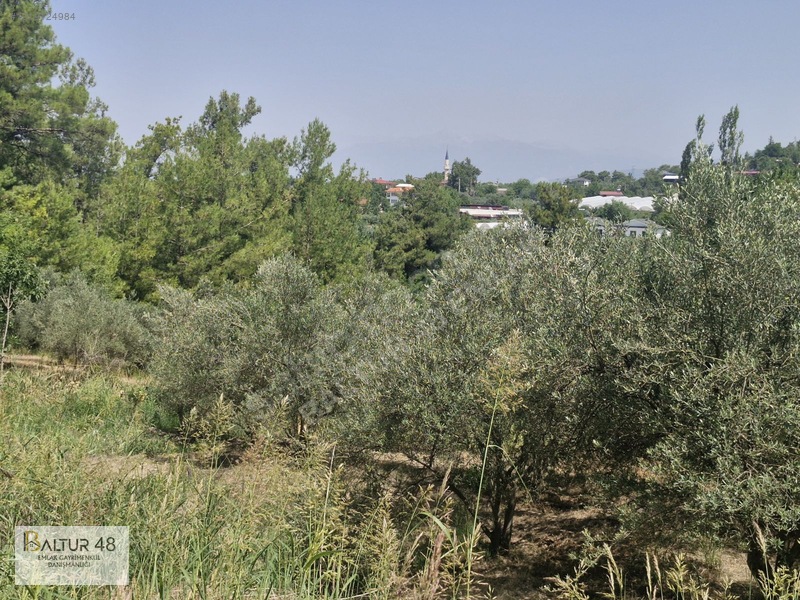 Seydikemer Yakaköy'de 12.468m² Satılık Yatırım Fırsatı Arazi — fotoğraf 10