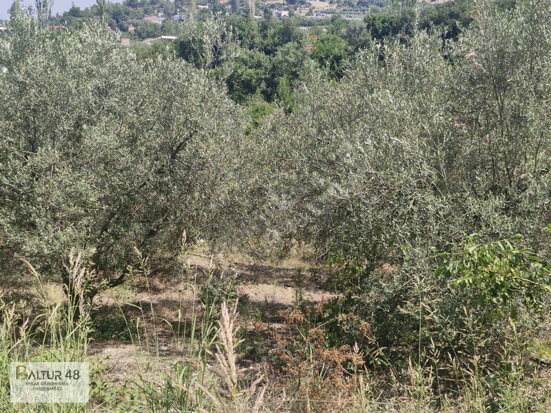 Seydikemer Yakaköy'de 12.468m² Satılık Yatırım Fırsatı Arazi — fotoğraf 12