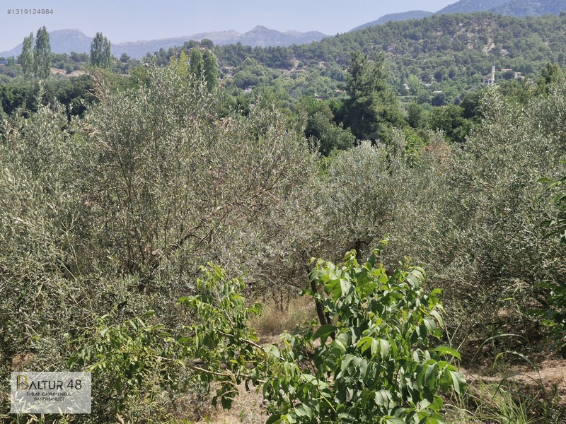 Seydikemer Yakaköy'de 12.468m² Satılık Yatırım Fırsatı Arazi — fotoğraf 13