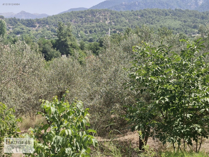 Seydikemer Yakaköy'de 12.468m² Satılık Yatırım Fırsatı Arazi — fotoğraf 14