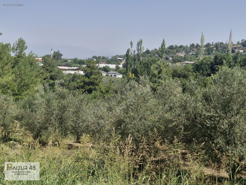 Seydikemer Yakaköy'de 12.468m² Satılık Yatırım Fırsatı Arazi — fotoğraf 15