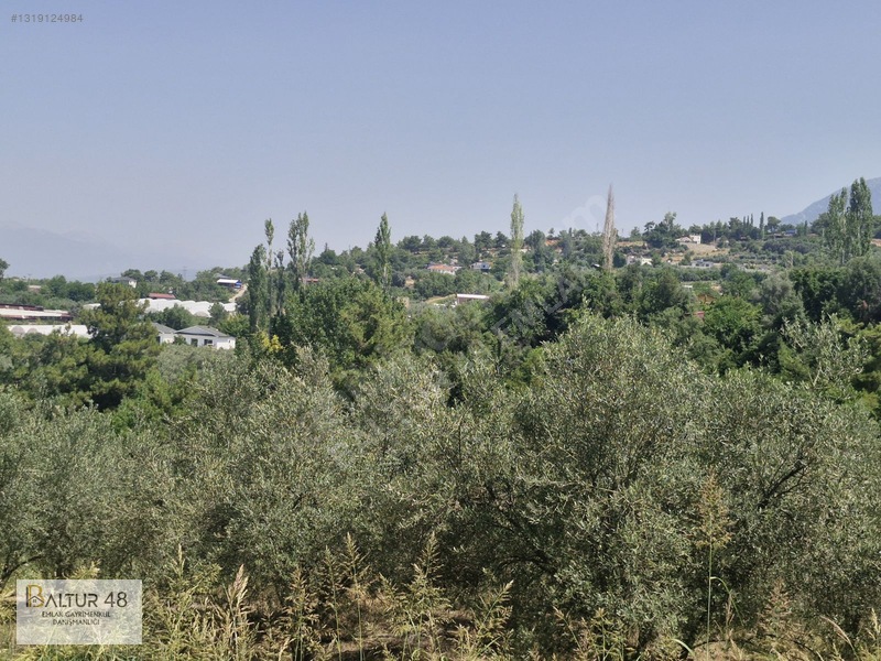 Seydikemer Yakaköy'de 12.468m² Satılık Yatırım Fırsatı Arazi — fotoğraf 16