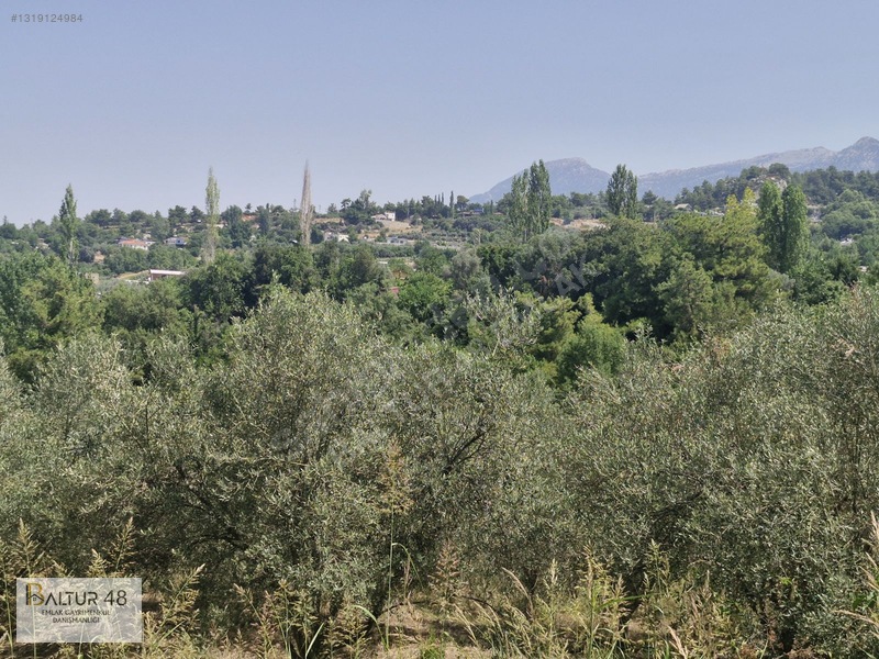 Seydikemer Yakaköy'de 12.468m² Satılık Yatırım Fırsatı Arazi — fotoğraf 17