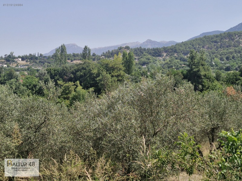 Seydikemer Yakaköy'de 12.468m² Satılık Yatırım Fırsatı Arazi — fotoğraf 18