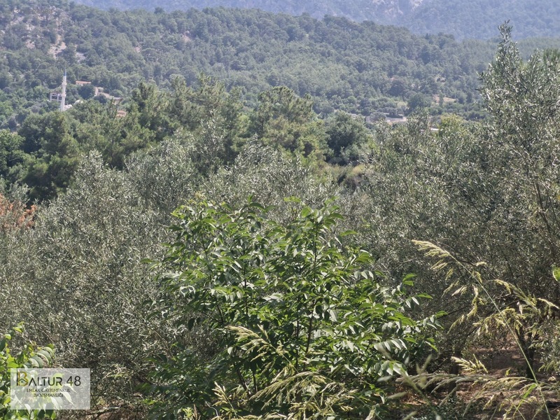 Seydikemer Yakaköy'de 12.468m² Satılık Yatırım Fırsatı Arazi — fotoğraf 19