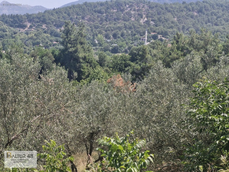 Seydikemer Yakaköy'de 12.468m² Satılık Yatırım Fırsatı Arazi — fotoğraf 20
