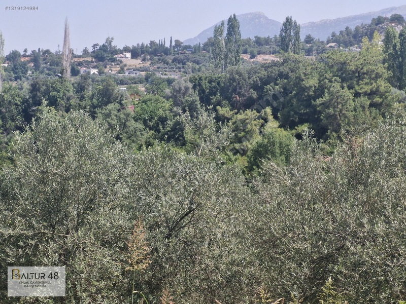 Seydikemer Yakaköy'de 12.468m² Satılık Yatırım Fırsatı Arazi — fotoğraf 23