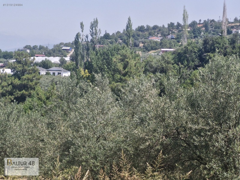 Seydikemer Yakaköy'de 12.468m² Satılık Yatırım Fırsatı Arazi — fotoğraf 24
