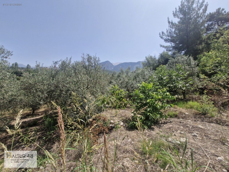 Seydikemer Yakaköy'de 12.468m² Satılık Yatırım Fırsatı Arazi — fotoğraf 25