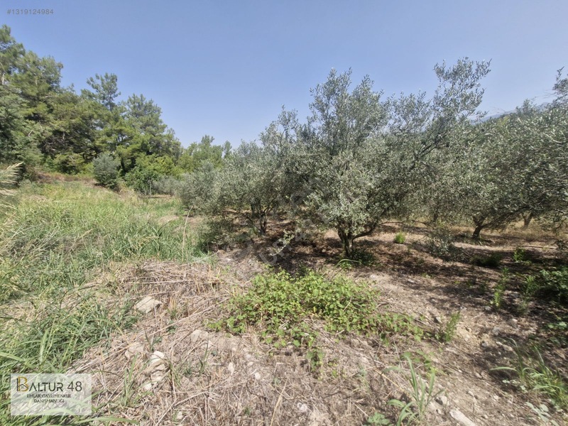 Seydikemer Yakaköy'de 12.468m² Satılık Yatırım Fırsatı Arazi — fotoğraf 26