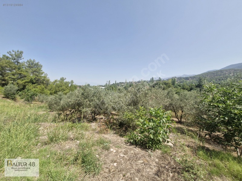 Seydikemer Yakaköy'de 12.468m² Satılık Yatırım Fırsatı Arazi — fotoğraf 28