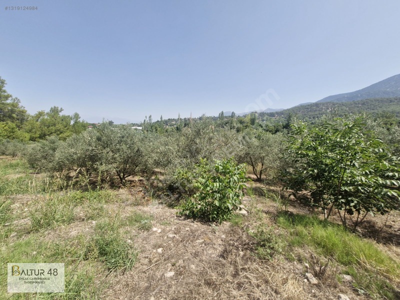 Seydikemer Yakaköy'de 12.468m² Satılık Yatırım Fırsatı Arazi — fotoğraf 29