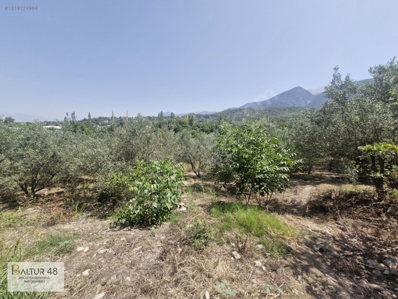 Seydikemer Yakaköy'de 12.468m² Satılık Yatırım Fırsatı Arazi — fotoğraf 30