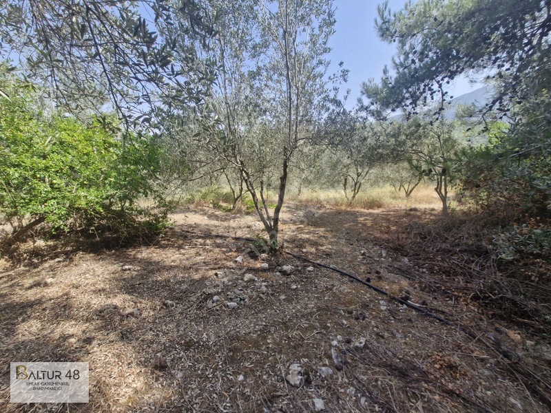Seydikemer Yakaköy'de 12.468m² Satılık Yatırım Fırsatı Arazi — fotoğraf 32