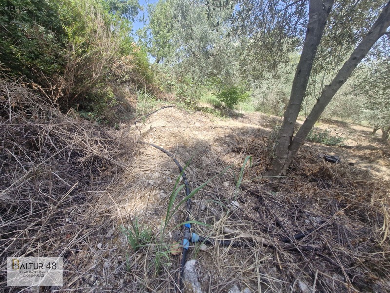 Seydikemer Yakaköy'de 12.468m² Satılık Yatırım Fırsatı Arazi — fotoğraf 33