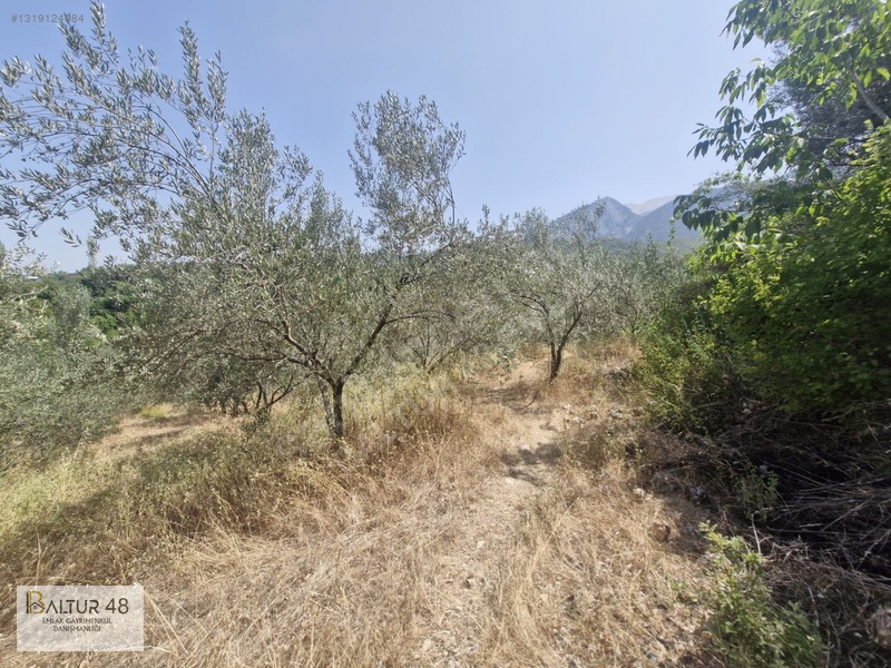 Seydikemer Yakaköy'de 12.468m² Satılık Yatırım Fırsatı Arazi — fotoğraf 34