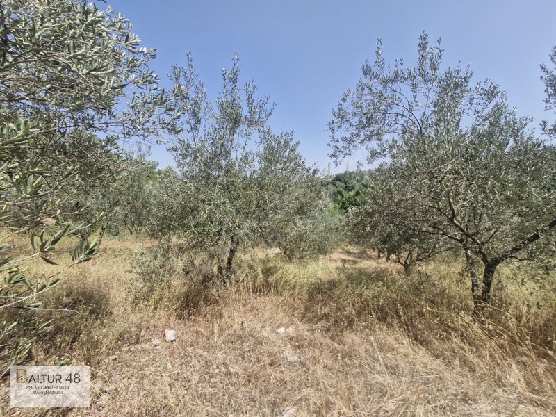 Seydikemer Yakaköy'de 12.468m² Satılık Yatırım Fırsatı Arazi — fotoğraf 35