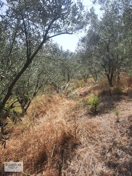 Seydikemer Yakaköy'de 12.468m² Satılık Yatırım Fırsatı Arazi — fotoğraf 36