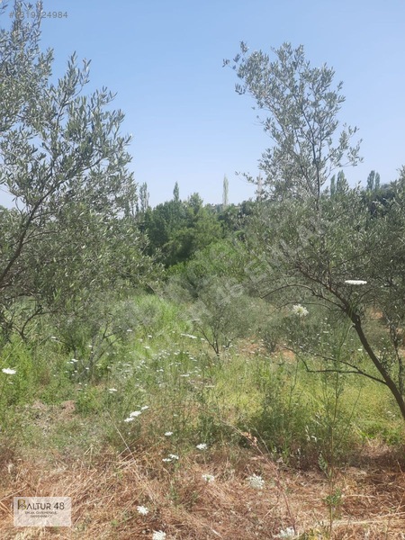 Seydikemer Yakaköy'de 12.468m² Satılık Yatırım Fırsatı Arazi — fotoğraf 37