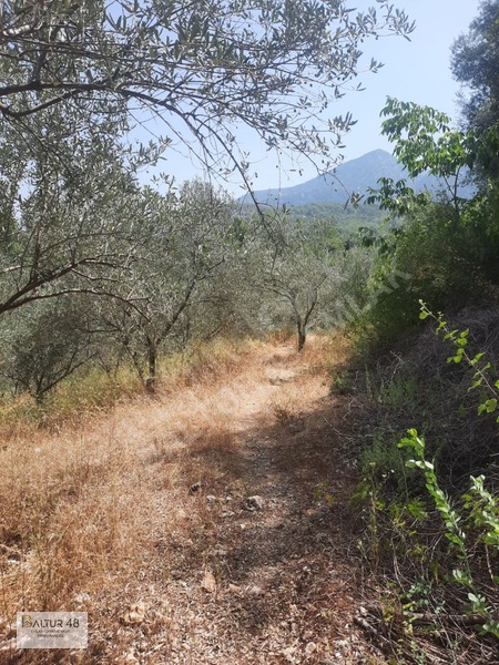 Seydikemer Yakaköy'de 12.468m² Satılık Yatırım Fırsatı Arazi — fotoğraf 38