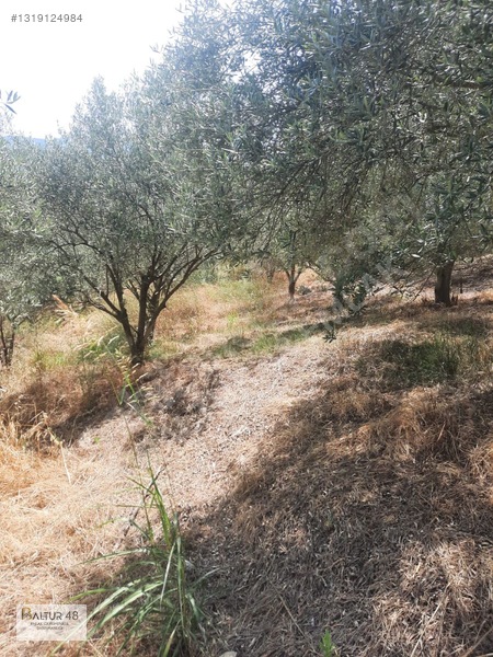 Seydikemer Yakaköy'de 12.468m² Satılık Yatırım Fırsatı Arazi — fotoğraf 45