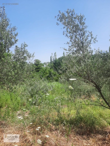 Seydikemer Yakaköy'de 12.468m² Satılık Yatırım Fırsatı Arazi — fotoğraf 47