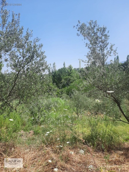 Seydikemer Yakaköy'de 12.468m² Satılık Yatırım Fırsatı Arazi — fotoğraf 48