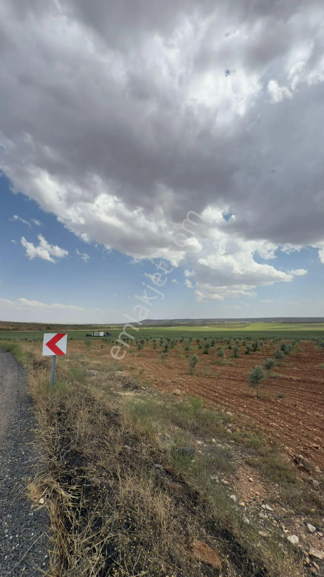 Şanlıurfa Haliliyeyerolukta Satılık 5 Dönüm — fotoğraf 5