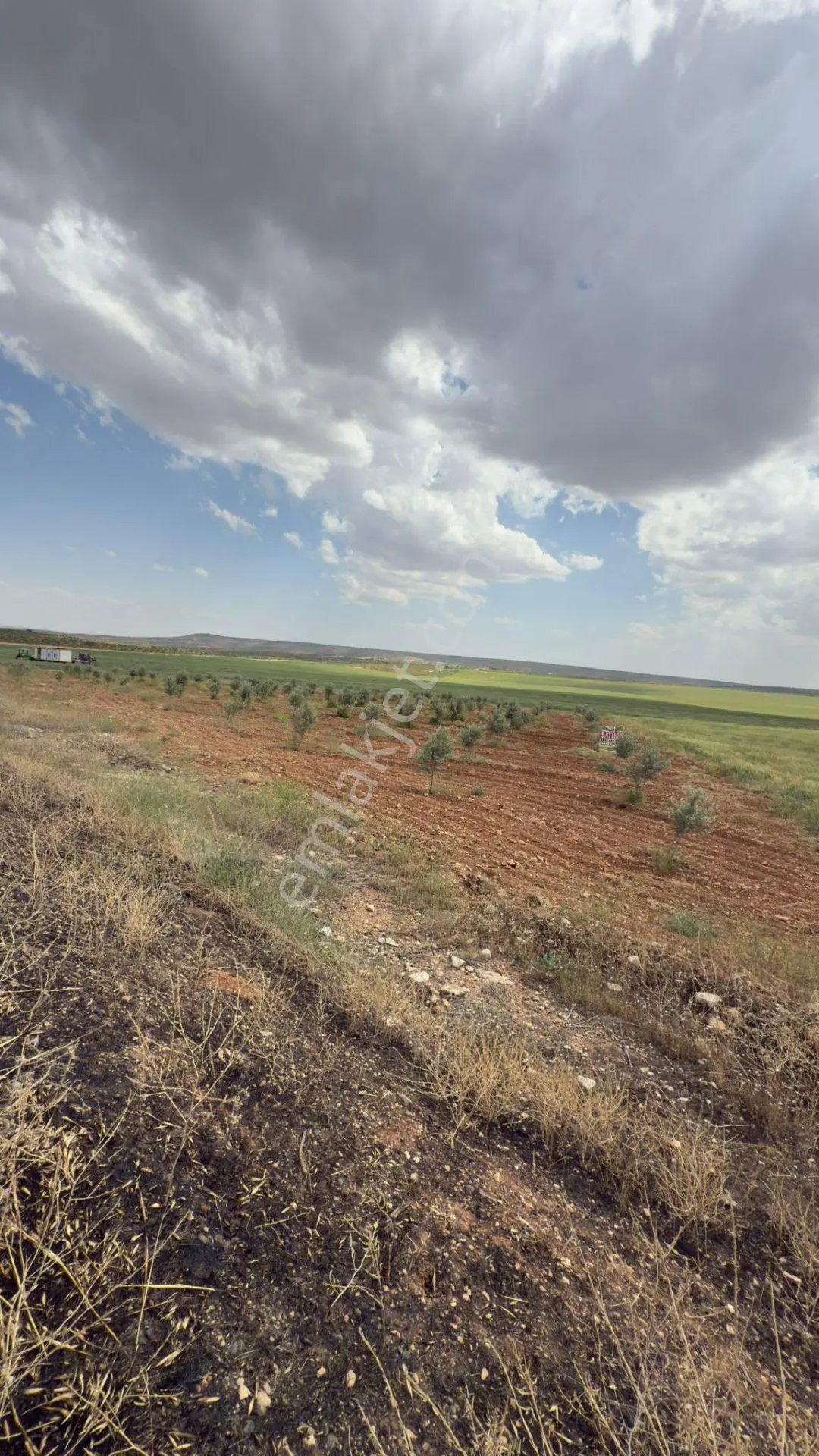 Şanlıurfa Haliliyeyerolukta Satılık 5 Dönüm — fotoğraf 6