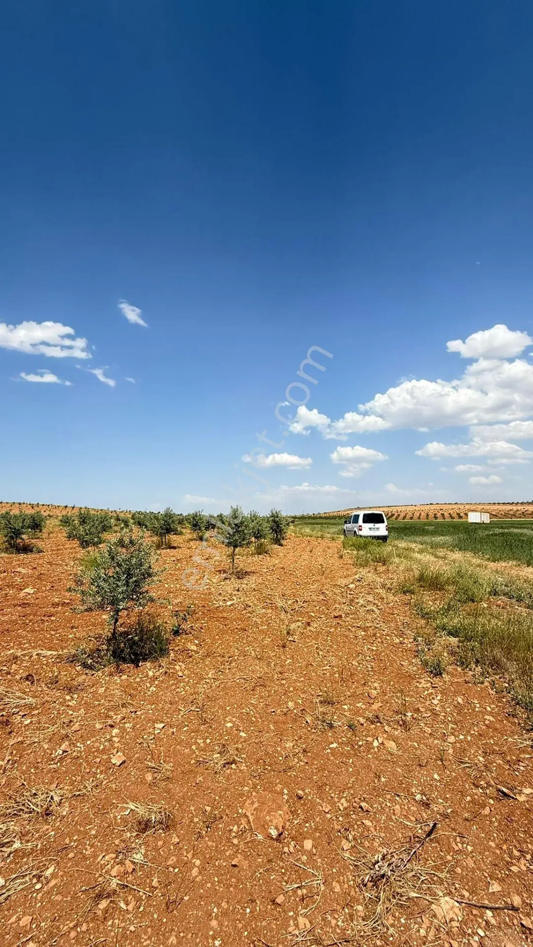 Şanlıurfa Haliliyeyerolukta Satılık 5 Dönüm — fotoğraf 10
