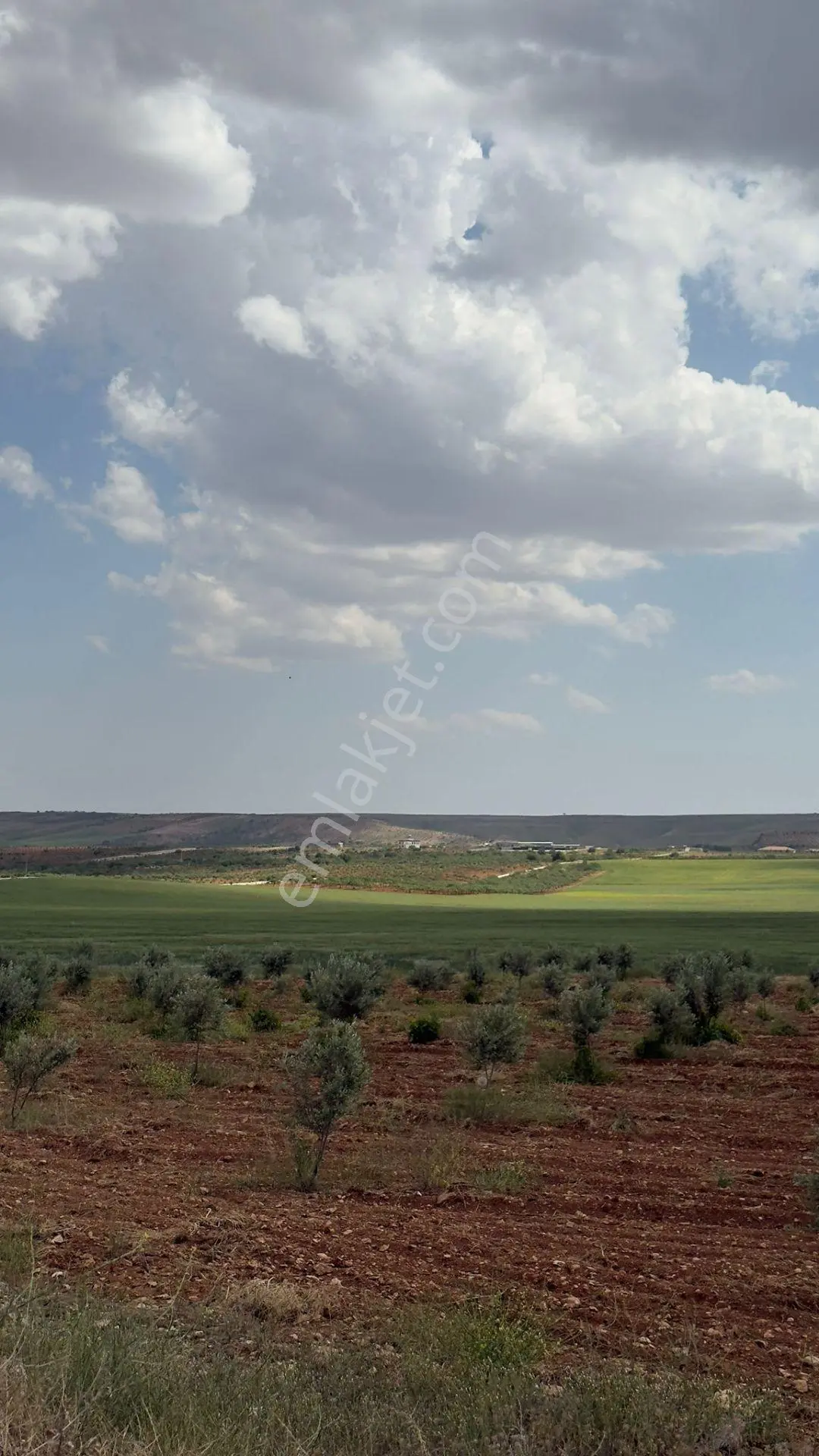 Şanlıurfa Haliliyeyerolukta Satılık 5 Dönüm — fotoğraf 11