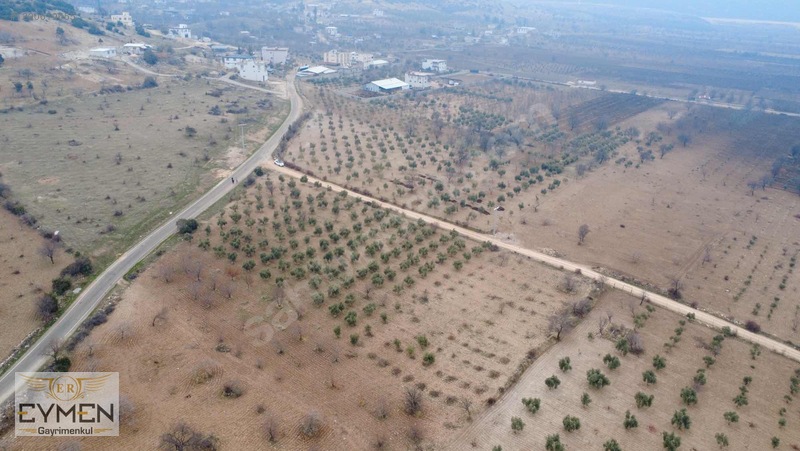 Asfalta 200 Metre Cepheli Fıstık Ve Zeytin Arazimiz Sizlerle.. — fotoğraf 7