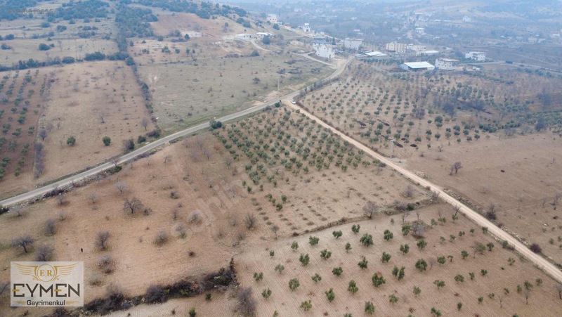 Asfalta 200 Metre Cepheli Fıstık Ve Zeytin Arazimiz Sizlerle.. — fotoğraf 8