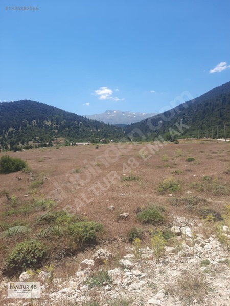 Yayla Ceylan'da 8419m² Satılık Yatırım Arazisi — fotoğraf 2