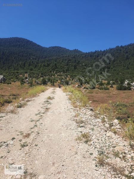 Yayla Ceylan'da 8419m² Satılık Yatırım Arazisi — fotoğraf 7