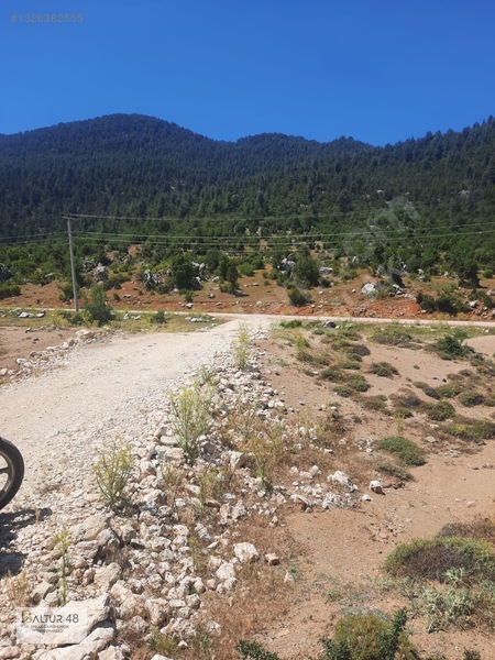 Yayla Ceylan'da 8419m² Satılık Yatırım Arazisi — fotoğraf 8