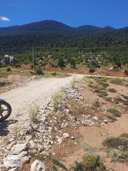 Yayla Ceylan'da 8419m² Satılık Yatırım Arazisi — fotoğraf 11