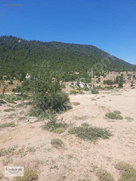Yayla Ceylan'da 8419m² Satılık Yatırım Arazisi — fotoğraf 14