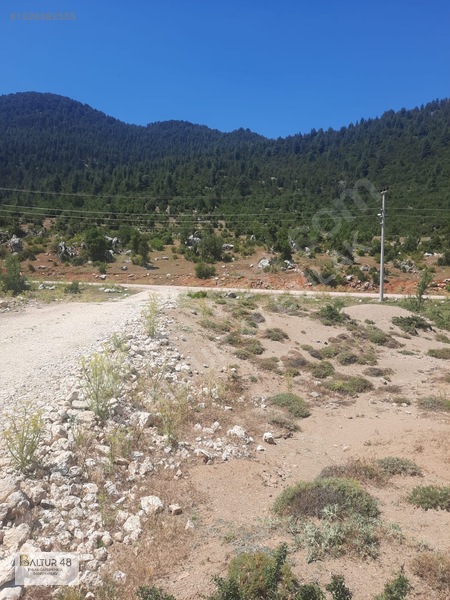 Yayla Ceylan'da 8419m² Satılık Yatırım Arazisi — fotoğraf 15