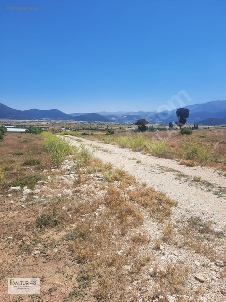 Yayla Ceylan'da 8419m² Satılık Yatırım Arazisi — fotoğraf 16