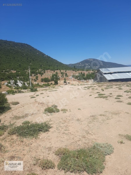 Yayla Ceylan'da 8419m² Satılık Yatırım Arazisi — fotoğraf 19